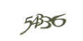 Введите код с изображения
