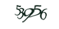 Введите код с изображения