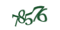 Введите код с изображения