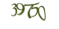 Введите код с изображения