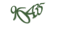 Введите код с изображения