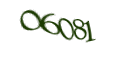 Введите код с изображения