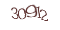Введите код с изображения