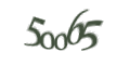 Введите код с изображения