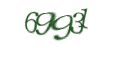Введите код с изображения