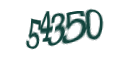 Введите код с изображения
