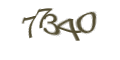 Введите код с изображения