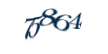 Введите код с изображения