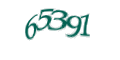 Введите код с изображения