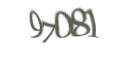 Введите код с изображения