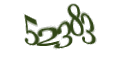 Введите код с изображения