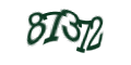 Введите код с изображения