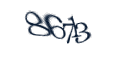 Введите код с изображения
