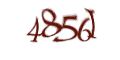 Введите код с изображения