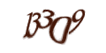Введите код с изображения