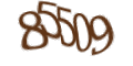 Введите код с изображения