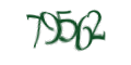 Введите код с изображения
