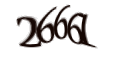 Введите код с изображения