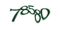 Введите код с изображения