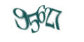 Введите код с изображения