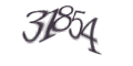 Введите код с изображения