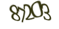 Введите код с изображения