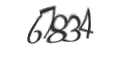 Введите код с изображения