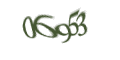 Введите код с изображения