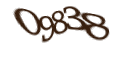 Введите код с изображения