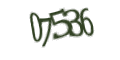 Введите код с изображения
