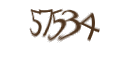 Введите код с изображения