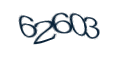 Введите код с изображения