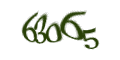Введите код с изображения