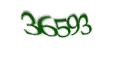 Введите код с изображения