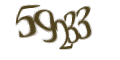 Введите код с изображения