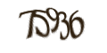 Введите код с изображения
