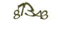 Введите код с изображения