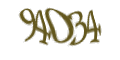 Введите код с изображения