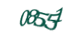 Введите код с изображения