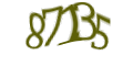 Введите код с изображения