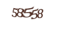 Введите код с изображения