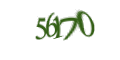 Введите код с изображения