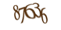Введите код с изображения