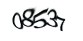 Введите код с изображения