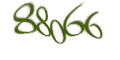 Введите код с изображения