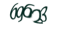 Введите код с изображения