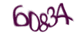Введите код с изображения