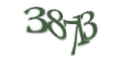 Введите код с изображения
