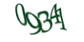 Введите код с изображения