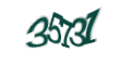 Введите код с изображения